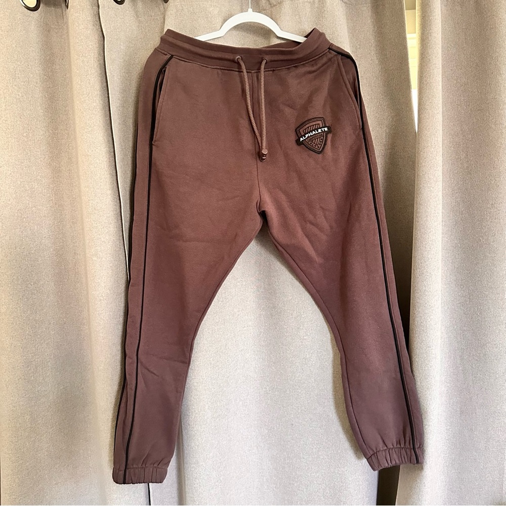 Alphalete Varsity Joggers in sparrow *small*